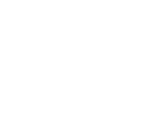 Logo UBAG